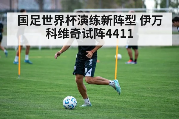 国足世界杯演练新阵型 伊万科维奇试阵4411
